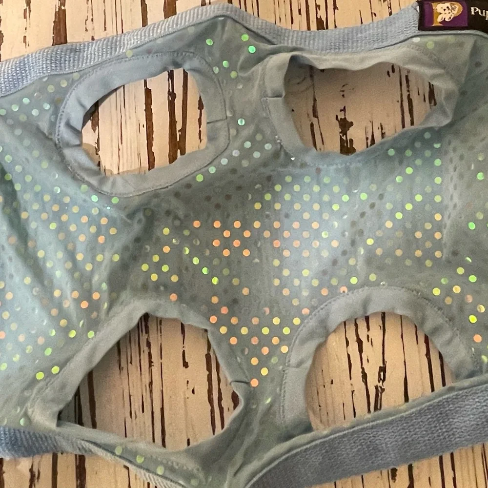 Blue with blue metallic Sequins Puppy Purse and Harness. X-Large